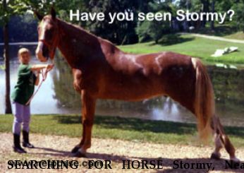 SEARCHING FOR HORSE Stormy, Near Perryville, MO, 00000